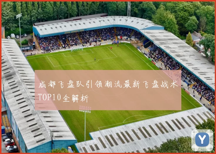成都飞盘队引领潮流最新飞盘战术TOP10全解析