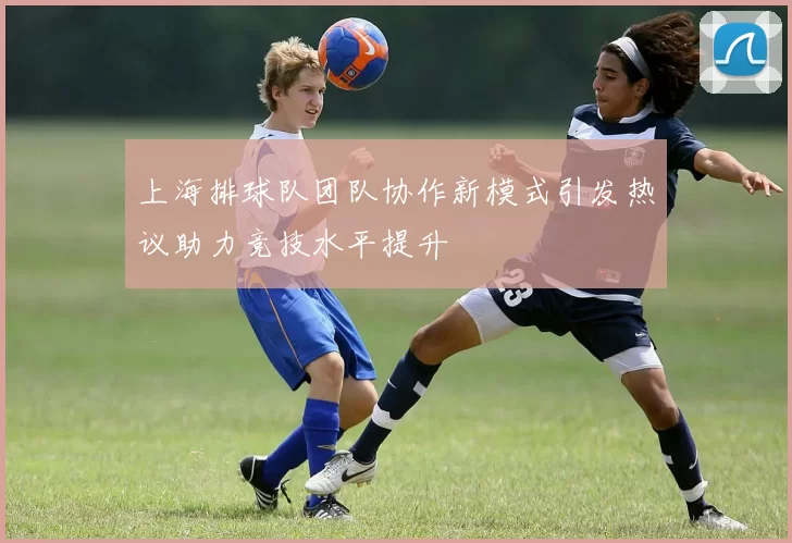 上海排球队团队协作新模式引发热议助力竞技水平提升
